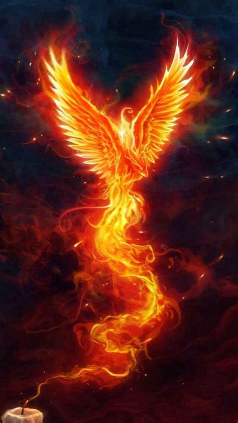 Cool Phoenix Wallpapers Top Free Cool Phoenix Backgrounds