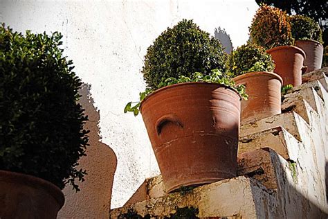 Jard N Con Macetas Y Jardineras De Terracota Discomgrup