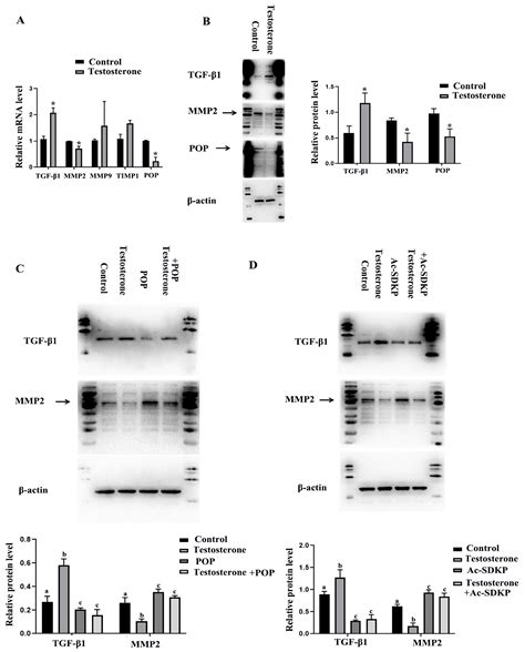 Biomedicines Free Full Text Abnormal Expression Of Prolyl