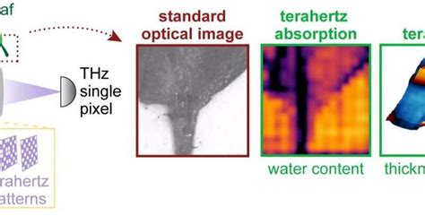 Researchers Combine Lasers And Terahertz Waves In Camera That Sees