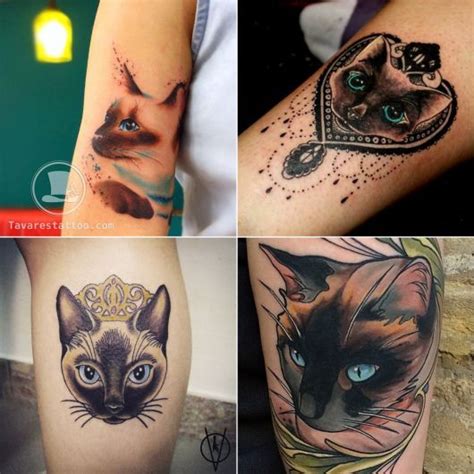 tatuagem de gato siamês Tatuajes gato siamés Tatuajes de mascotas