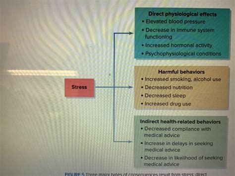 PSYCHOLOGY Stress Flashcards Quizlet