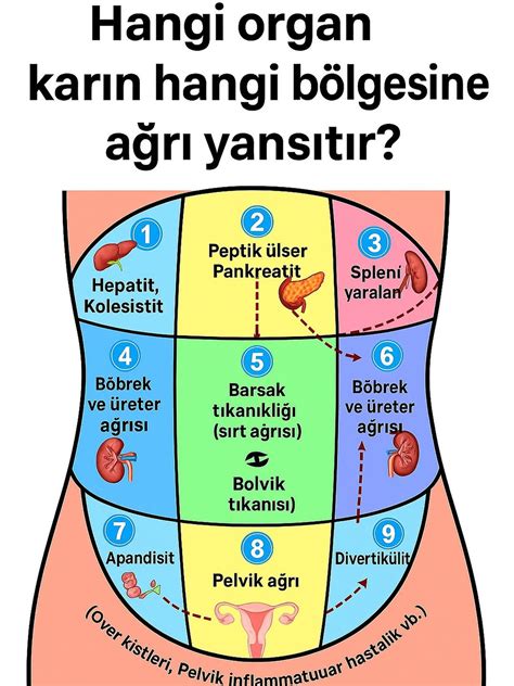 Baş Ağrısı Bölgeleri 4