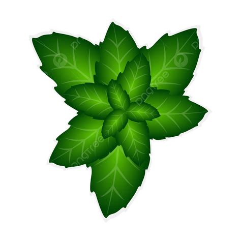 Gambar Daun Daun Hijau Hijau Daun Daun Meninggalkan Clipart Png Dan Vektor Dengan Background