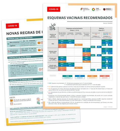 DGS Atualiza Esquema Vacinal E Normas De Isolamento