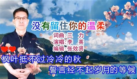 【张效贤爱音乐】李英演唱的《没有留住你的温柔》深情好听，忧伤感人 2万粉丝8千作品热议中音乐视频 免费在线观看 爱奇艺