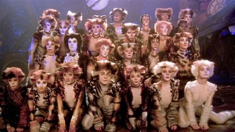 Cats 1998