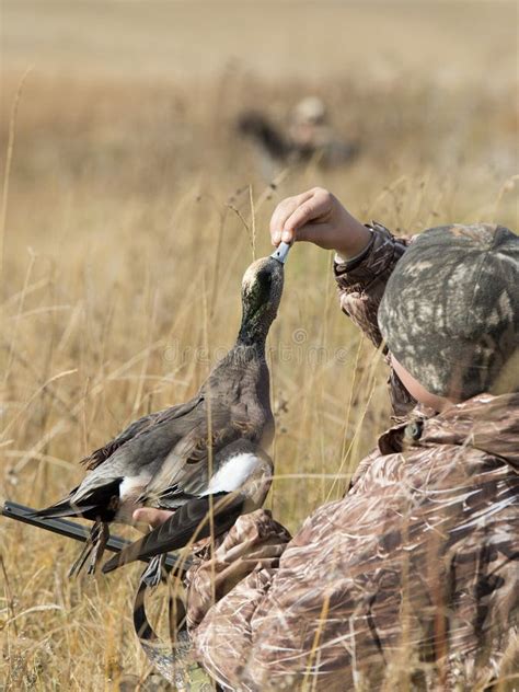 Duck Hunter stock photo. Image of youth, dcuk, widgeon - 58100624