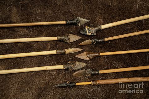 Prehistoric Arrows 1 By Science Photo Library