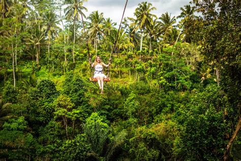 Young Tourist Woman Swinging On The Cliff In The Jungle Rainforest Of A