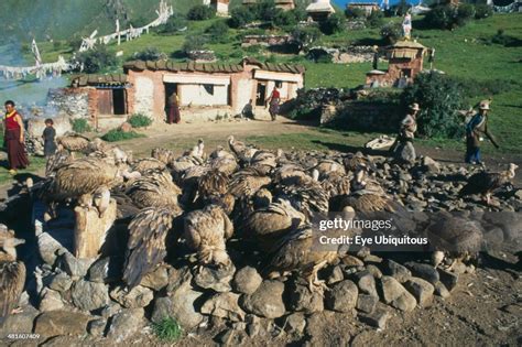 Tibet, Lhasa, Drigung Tli, Sky burial site with vultures gathered on ...