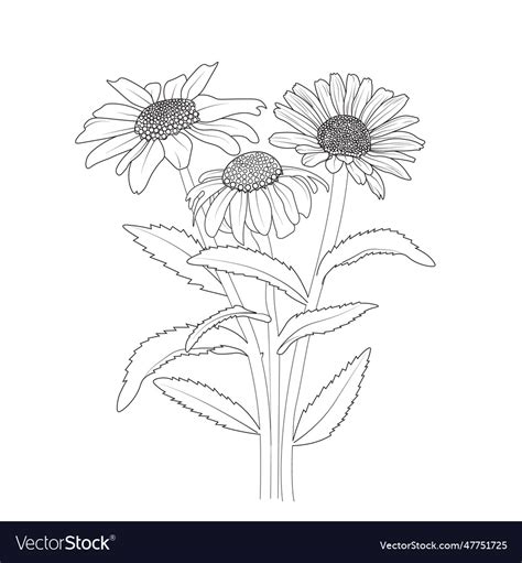 Gerber Daisy Silhouette