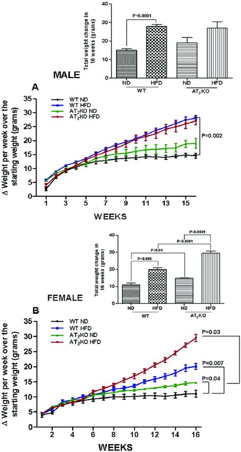 Body Weight Gain In At2ko Mice On High Fat Diet Cumulative Body Weight