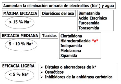 Diur Ticos Flashcards Quizlet