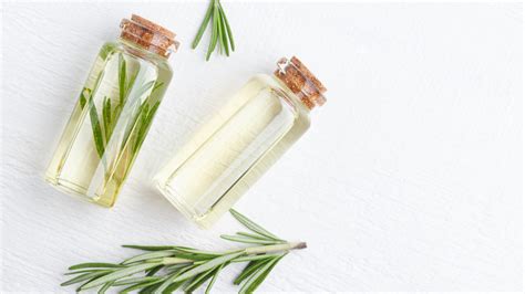 How To Make Herb Infused Oil C6 Beauty