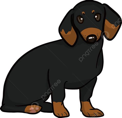 Sentado Dachshund Negro Clip Art Png Imágenes Prediseñadas De Perro