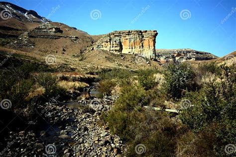 Golden Gate National Park Stock Image Image Of Plants 20827751