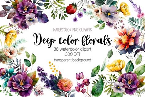 Watercolor Floral Clipart Bundle Transparent Png