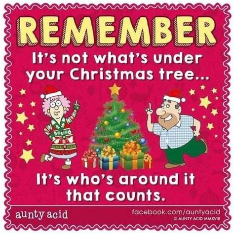 Pin By Lisa Gardner On Holidays Aunty Acid Christmas Quotes Aunt Acid