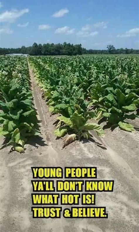 Apparently I M Not Qualified To Know What Hot Is Here In North Carolina R Gatekeeping