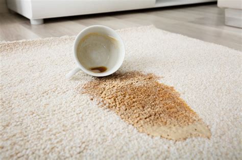 How To Remove Burnt Stains From Rug At Doris Thompson Blog