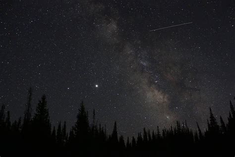 Silhouette of Trees under the Starry Night Sky · Free Stock Photo