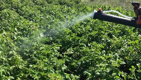 Uni N Europea Adopta Nueva Legislaci N Para Etiquetado De Fertilizantes