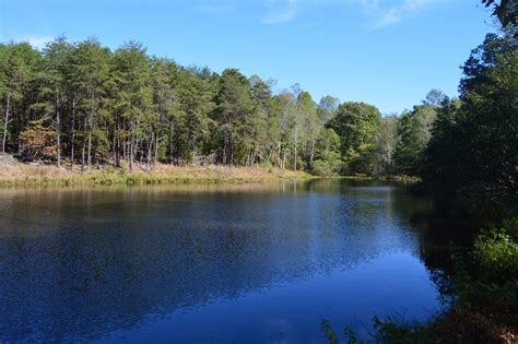 8035 Acres In Rockingham County North Carolina