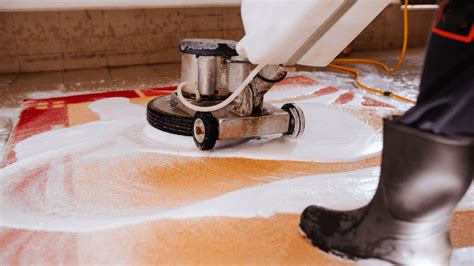 Don’t DIY Clean Your Precious Rugs and Carpets. Hire a pro!