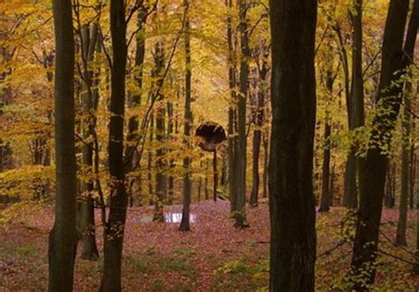 Yorkshire Sculpture Park presents new sculpture by artist and musician ...