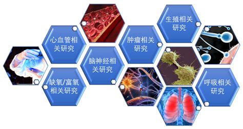 HEI OC1 小鼠耳蜗毛细胞系 上海昆盟生物科技有限公司