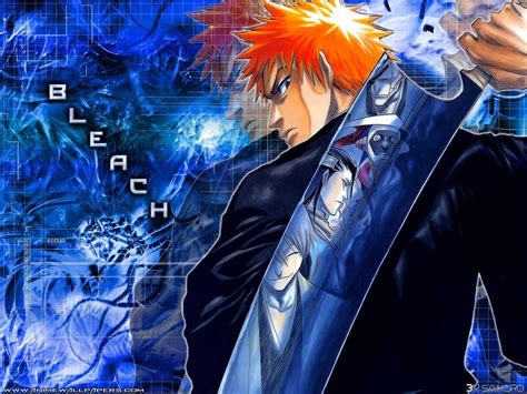 Bleach Bleach Anime Wallpaper 11141754 Fanpop