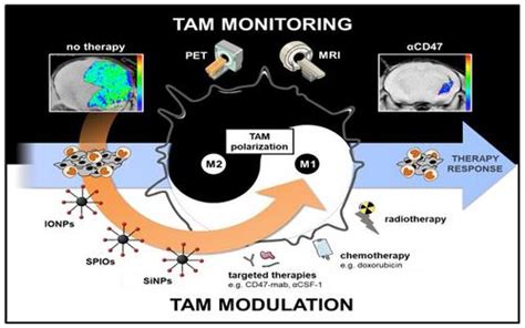 The Yin And Yang Of Imaging Tumor Associated Macrophages With Pet And