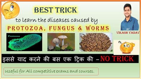 Trick To Learn Diseases Caused By Protozoa Fungus And Worms Best Trick ️ ️ Youtube