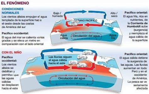 Causas Del Fen Meno Del Ni O
