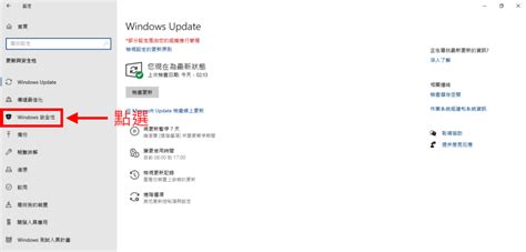 Windows 10 安全性說明