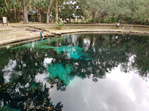 Juniper Springs - Ocala National Forest, FL - Natural Springs on Waymarking.com