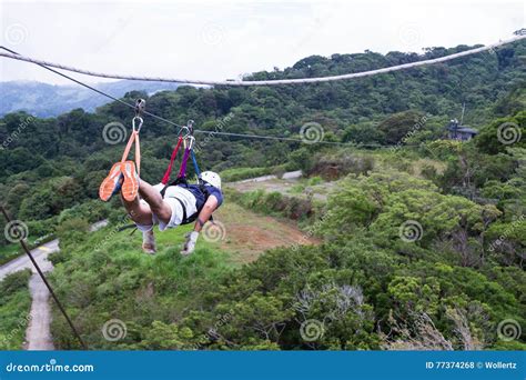 Zip Line Canopy Tours In Costa Rica Editorial Stock Photo Image Of