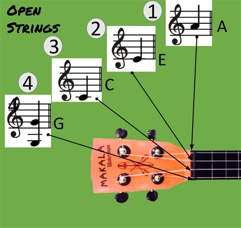 Picking Open Strings Funke Music