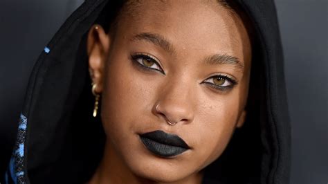 Ive Never Seen Willow Smith In Such A Normie Hairstyle — See Photos