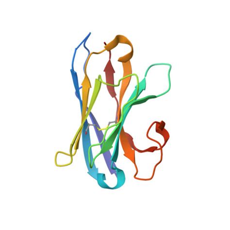 Rcsb Pdb Qna Cryo Em Structure Of Human Full Length