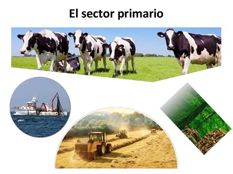 So Amos A Lo Grande Tema Ciencias Sociales Sector Primario