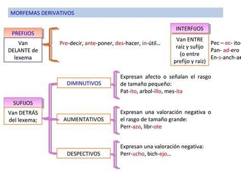 Componentes de la palabra Procedimientos de formación de palabras PPT