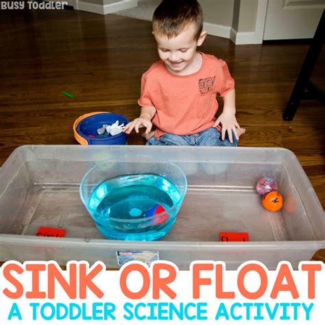 Float And Sink For Kindergarten