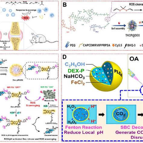 Ros Responsive Biomaterials For Oa Treatment A Schematic