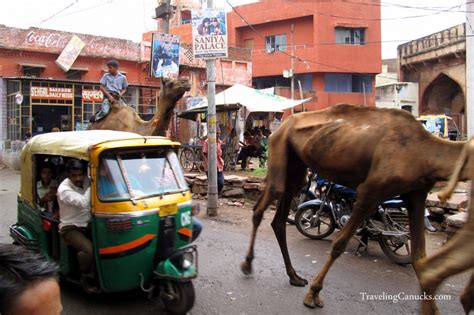 Transportation in India - what the Tuk-tuk?!