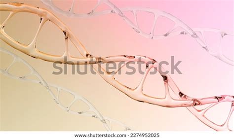 Human Dna Structure Glass Helix Deoxyribonucleic Stock Photo