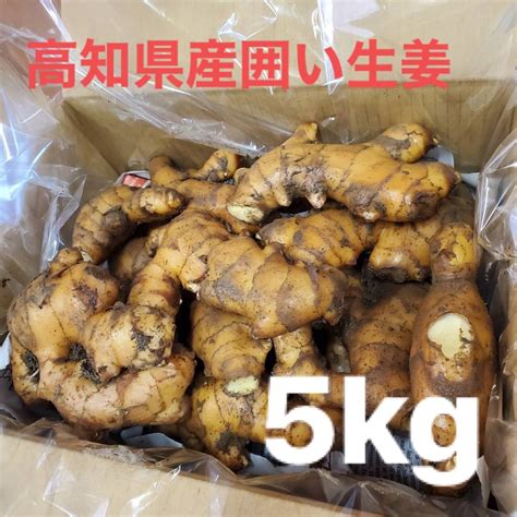 高知県産 囲い生姜 5kg｜paypayフリマ