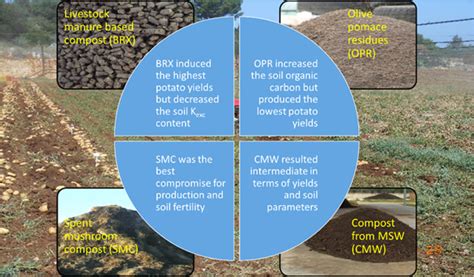 Effects Of A 2Year Application Of Different Residual Biomasses On Soil