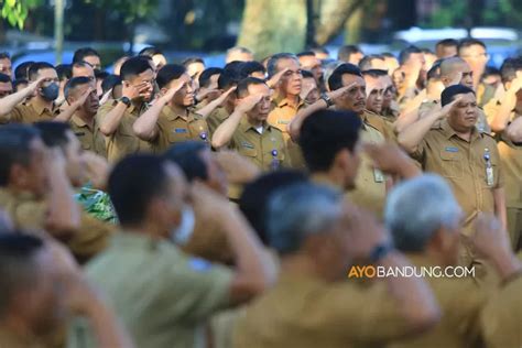 Uu Asn Mengusung Kesetaraan Status Dan Hak Antara Pns Dan Pppk Lalu